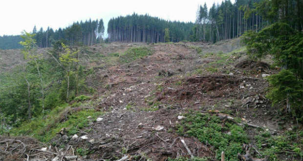 Kárpátalja ma: a megcsonkított Kárpátok