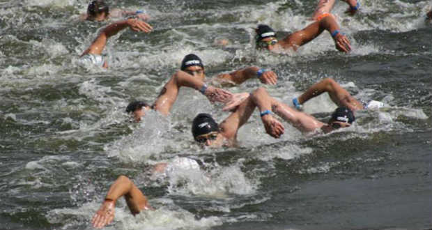 Bronzérmes a magyar csapat a nyíltvízi úszó Eb-n