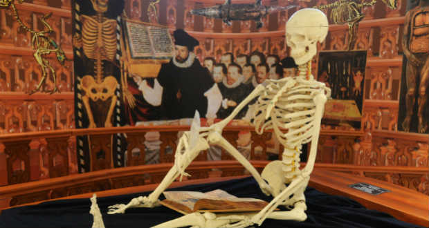 Az éghajlat és a genetika egyszerre méretezi végtagjainkat