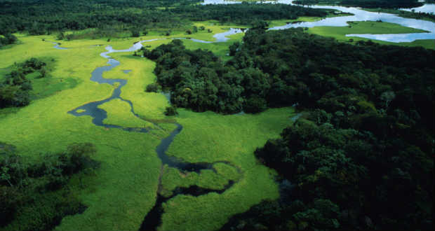 Világhírességek védik a brazil indiánokat