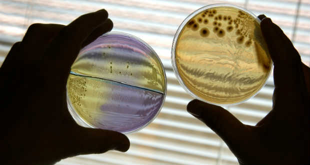 Reggelente „veszélyesebbek” a vírusok