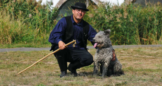 A gazda dicsérete még a jutalomfalatnál is többet ér