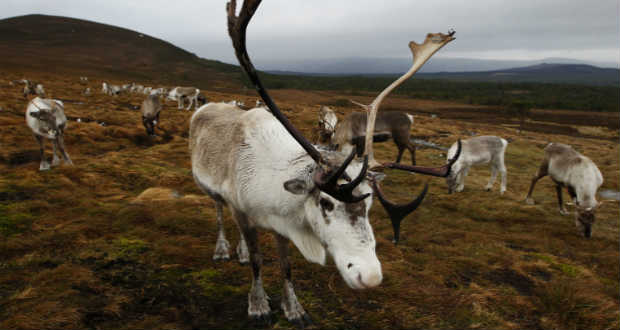 Az olvadó jégből kiszabadult vírus okozott fertőzést