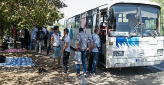 Migránsok erőszakoskodtak egy kiskorú lánnyal Szabadkán