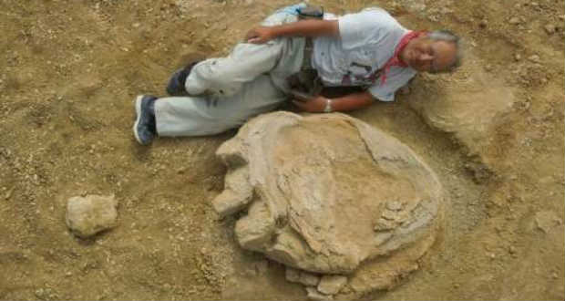 Gigantikus dinoszaurusz-lábnyomra bukkantak a Góbi sivatagban