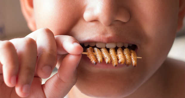 Rovarokkal jól lehetne lakatni az éhezőket