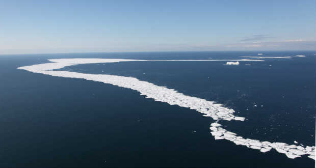 Létrejön a világ legnagyobb tengeri rezervátuma a Déli-óceánon