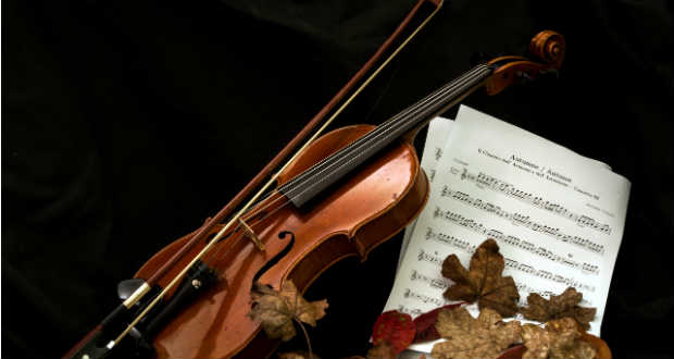 Magyar siker az Amerikai Hegedűtársaság hangszerkészítő versenyén