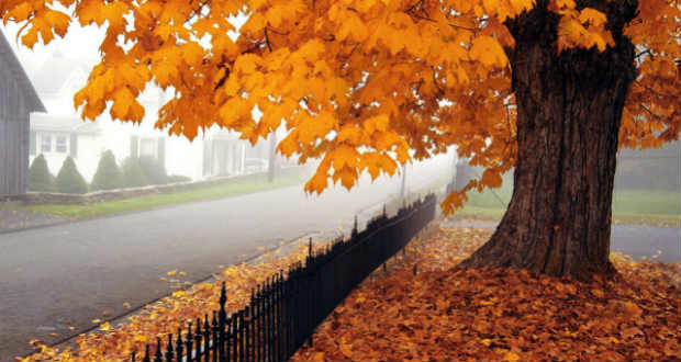 Dsida Jenő: Zúg az őszi szél