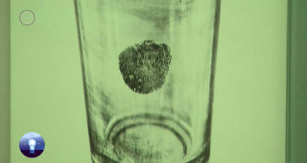 A kriminológia fejlődése az ujjlenyomattól a DNS-vizsgálatig