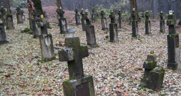 Vigyázók – beszámoló a huszti haditemetőben 2016-ban végzett munkálatokról