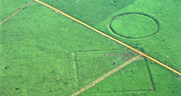 Több mint 450 óriás geoglifát fedeztek fel az Amazonas esőerdőiben
