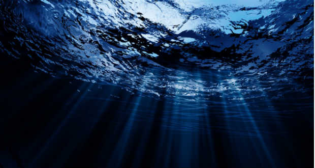 Az óceánok védelmére szólított fel egy brit tudós