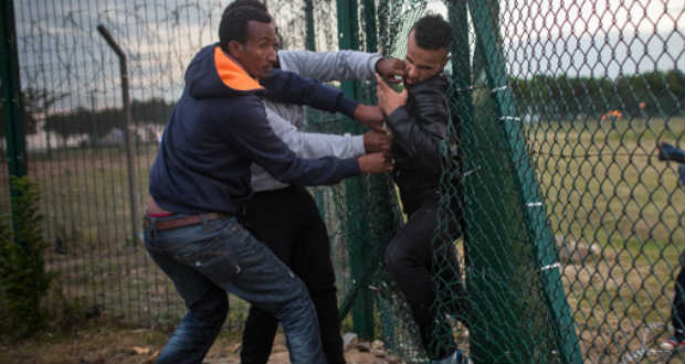 Illegális bevándorlás – Ukrajnából érkező migránsokat fogtak el a román határrendészek