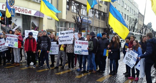 Az illegális fakitermelés ellen tiltakoznak Munkácson