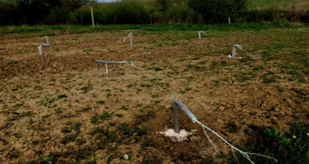 Teljes faültetvényt tettek tönkre a Beregszászi járásban