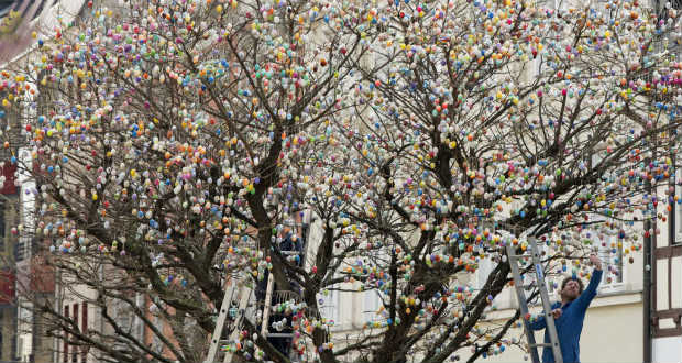 A világ leghíresebb tojásfája ismét teljes pompájában díszeleg