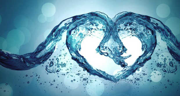 A vizes élőhelyek védelmére indítottak közös programot magyarországi és vajdasági kutatók