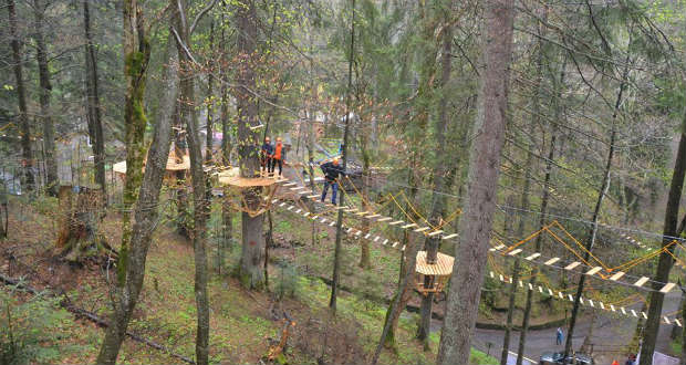 Kárpátalja ma: lombkoronasétány Szinevéren