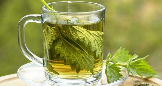 Csalán: a sokoldalú salakpucoló