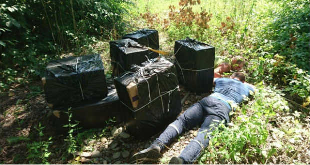 7400 doboz csempészcigarettát foglaltak le a határőrök