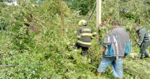 Sok bosszúságot okozott a vihar Kárpátalján