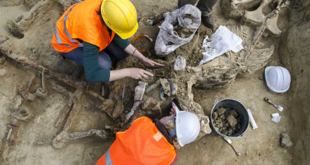 Római kori kocsisírt tártak fel Csillaghegyen