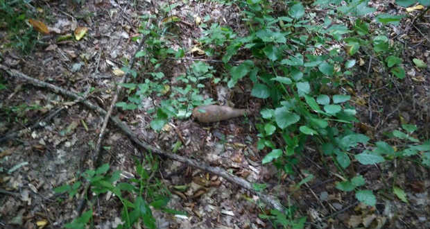 Robbanószereket semmisítettek meg Ungvár mellett