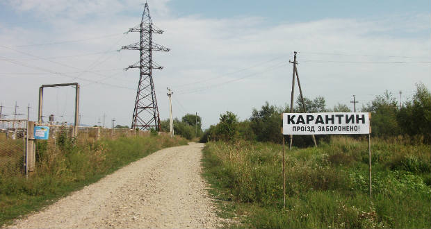 Kopogtató: a sertéspestis nyomában