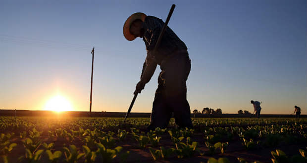 Évente 420 millió forint jut a Kárpát-medencei falugazdász program működtetésére