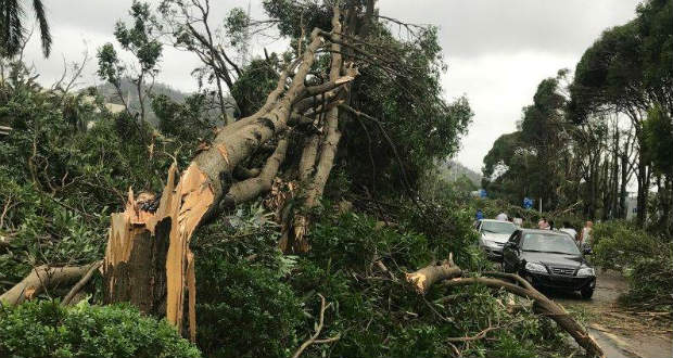 Továbbra is tarol a tájfun Kínában