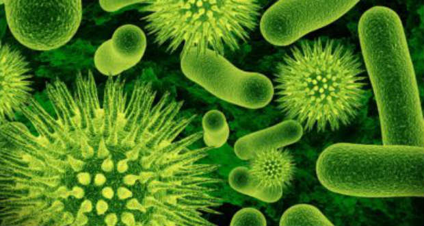 Agydaganatot gyógyíthat a zikavírus