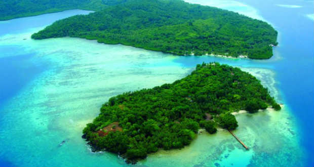 Új óriáspatkányfajra bukkantak a Salamon-szigeteken