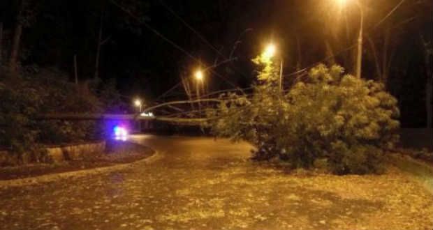 A viharos szél miatt tizennyolc település maradt áram nélkül Kárpátalján