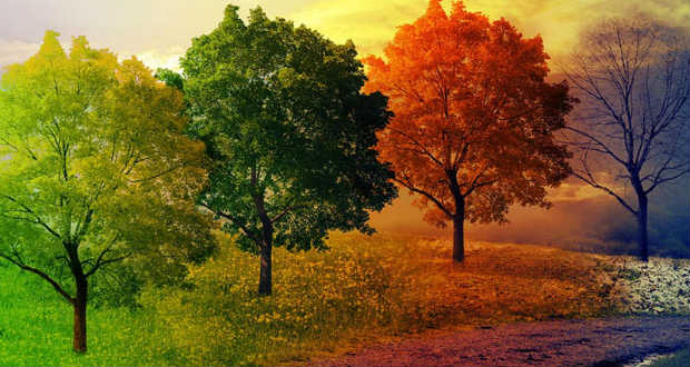 Füzesi Magda: Ima mindenkor