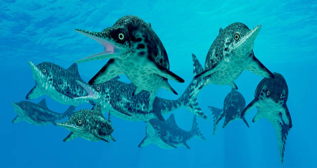 Jurakori tengeri hüllő kövületére bukkantak