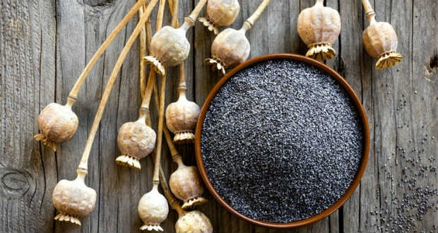 A mák ezért egészséges