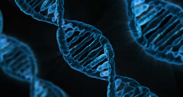 Új gént azonosítottak magyar tudósok egy ritka betegség hátterében