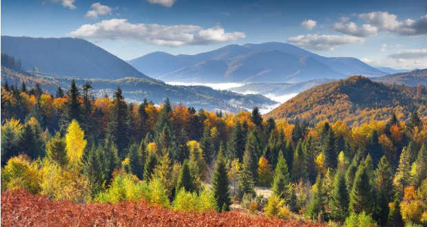 Csobolya József: Kárpátalja