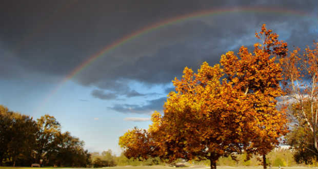 Shrek Tímea: Valami