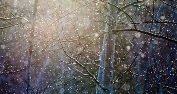 Dsida Jenő: December