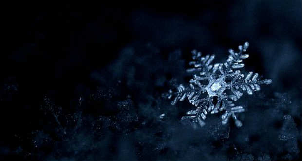 Pusztai-Tárczy Beatrix: Hópelyhek