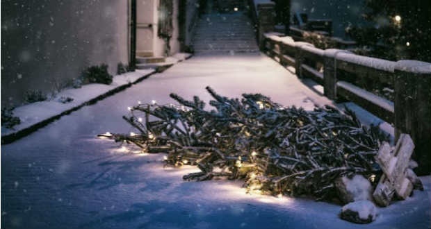 Jónás Tamás: Karácsony