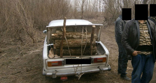Fatolvajokat értek tetten a Nagyszőlősi járásban