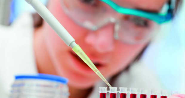 A májbetegség gyors kiszűrésére alkalmas vérvizsgálatot fejlesztettek ki kutyáknak