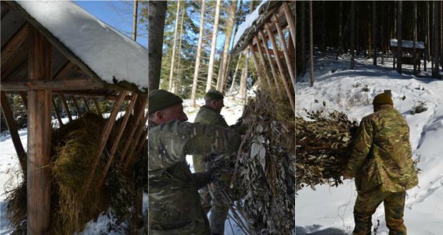 Kárpátalja ma: vadetetés a Rahói járásban