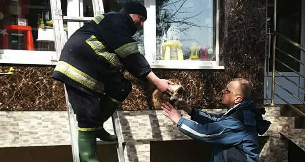Kárpátalja ma: macskamentő akció