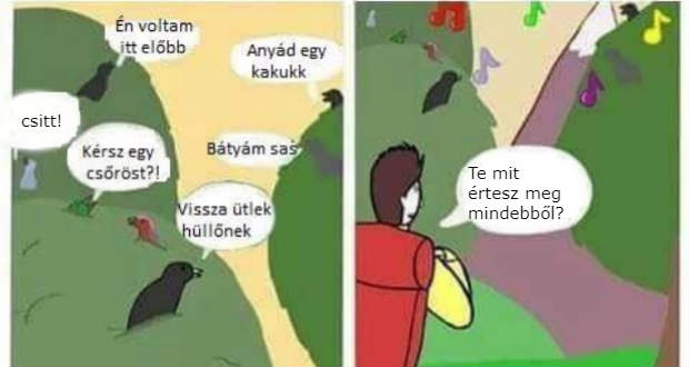 Kopogtató: pártoskodás