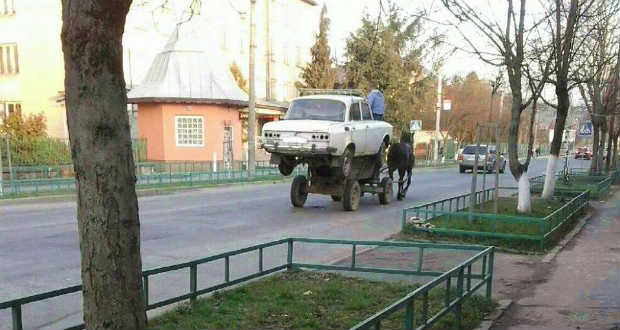 Kárpátalja ma: életrevalók