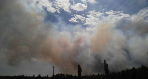 Tűz ütött ki a csernobili zónában lévő Vörös-erdőben